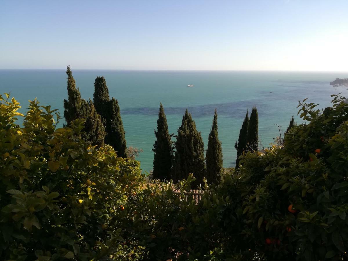 Monaco'S Cottage & Spa Roquebrune-Cap-Martin Kültér fotó